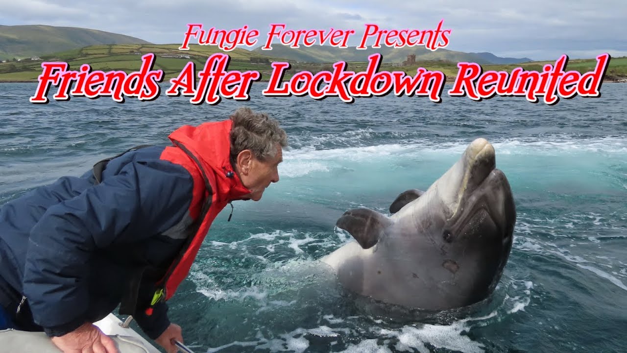2020 6 June 8 FUNGIE FOREVER - FRIENDS AFTER LOCKDOWN - REUNITED