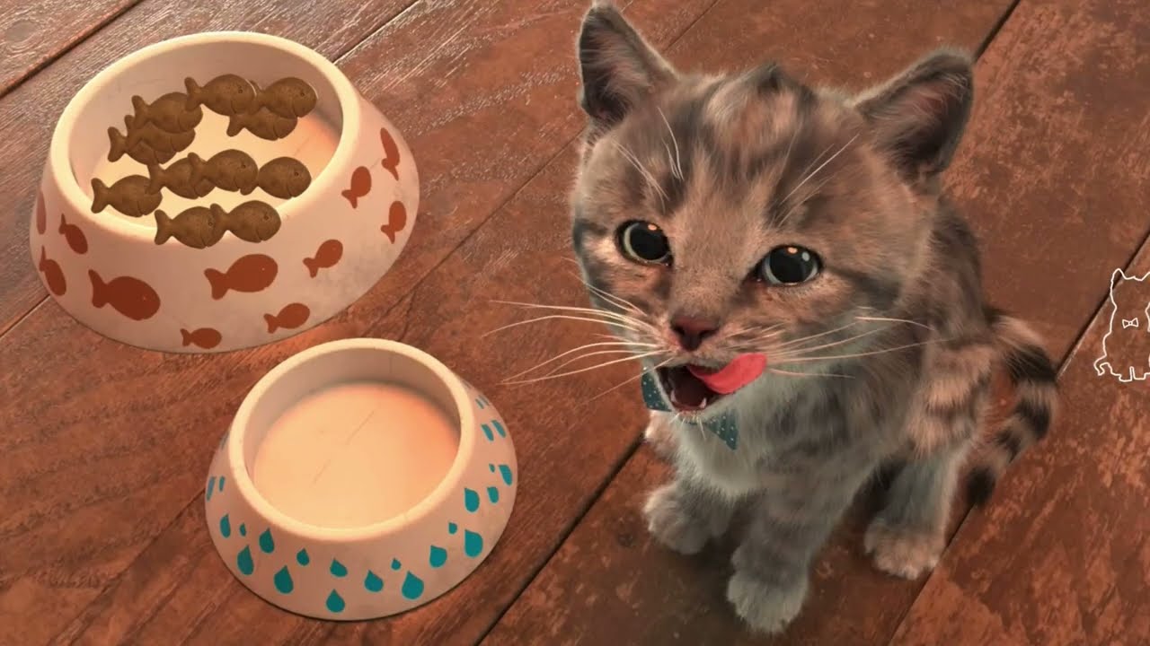 CUTE LITTLE KITTEN ADVENTURE - PLAY CAT CARE GAMES FOR BABY TODDLERS & FOR KIDS #95