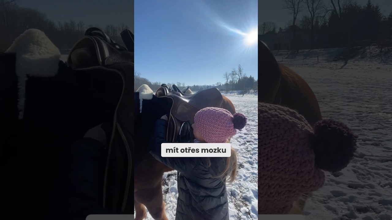 Dne&scaron;n&iacute; generace u kon&iacute;