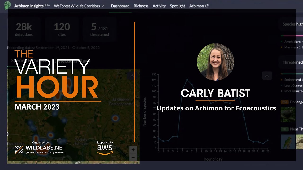Carly Batist: Updates on Arbimon for Ecoacoustics