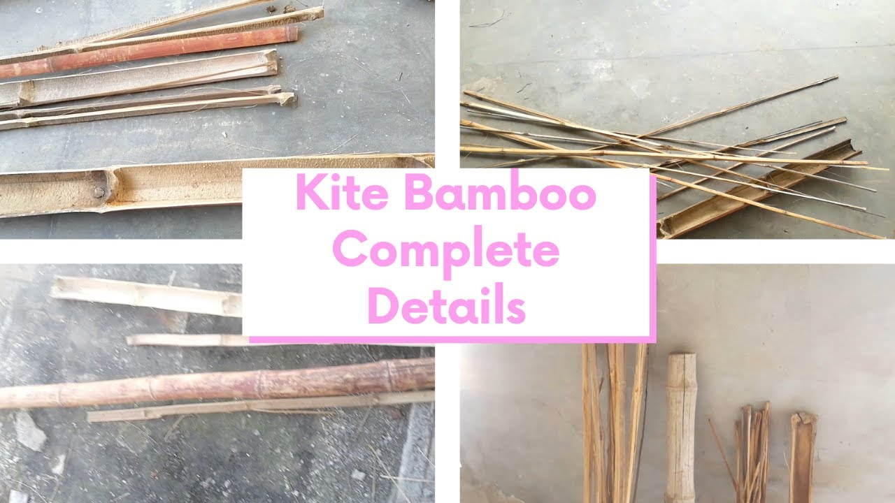 Kite Bamboo Complete Details | 2023