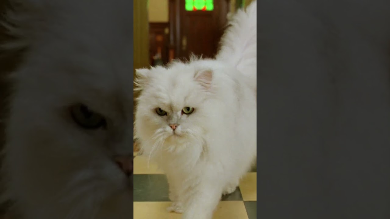Handi Wipe With Hair [Stuart Little 2]