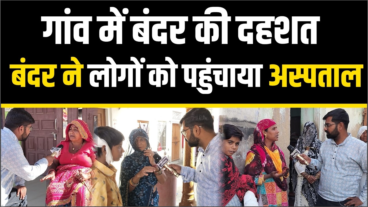 Monkey ka Aatank- बंदर का आतंक । चिराणा में बंदर ने कई लोगों को पहुंचाया Hospital