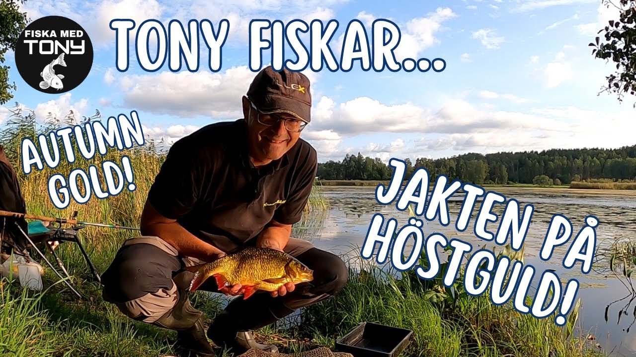 På jakt efter höstguld! / On the hunt for autumn gold!