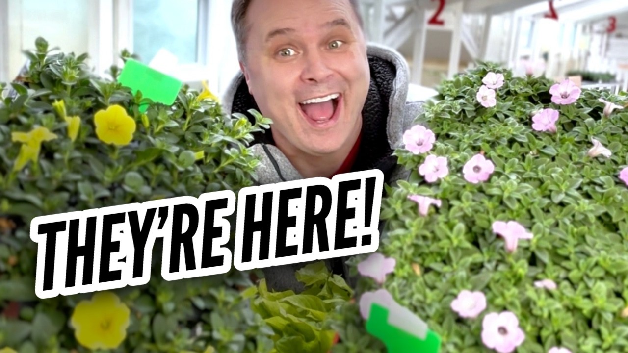 It’s Still Winter… and Our First Plant Shipment Just Arrived
