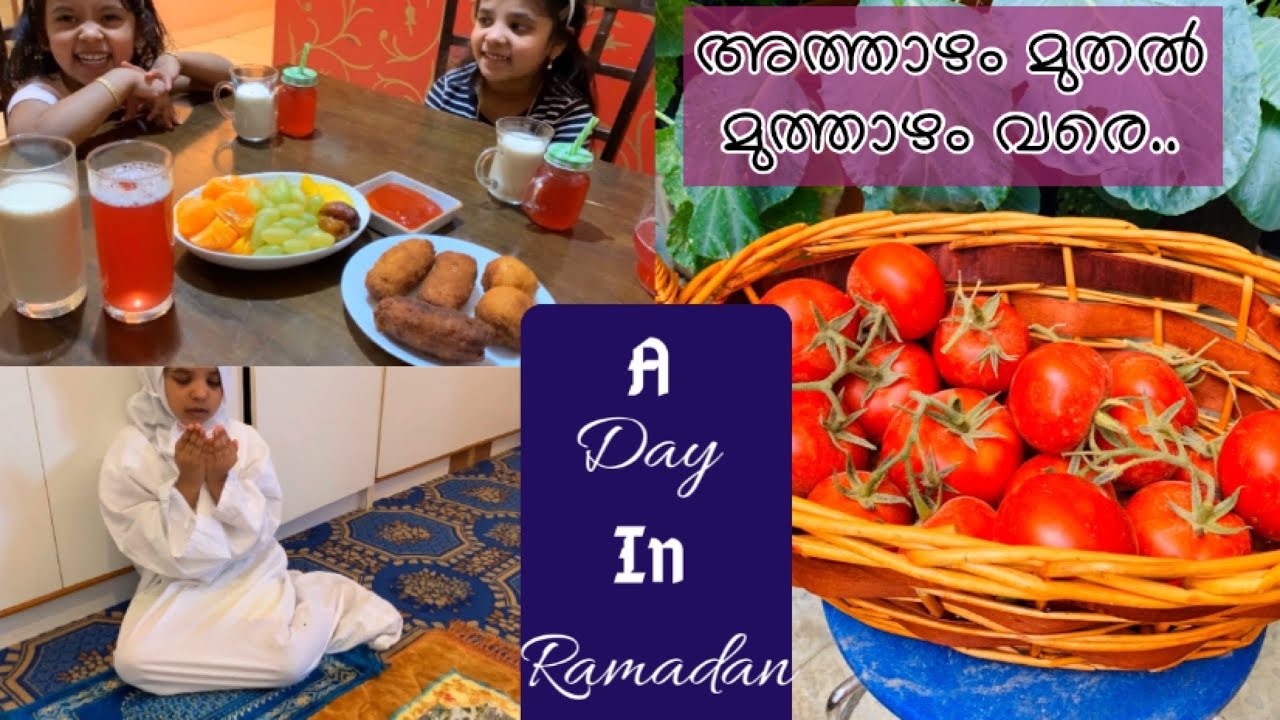 A day in our life in ramadan|Ramadan vlog|Tomatoes harvesting|Egg roll recipe|കടല കറി|ചീര താളിച്ചത്|