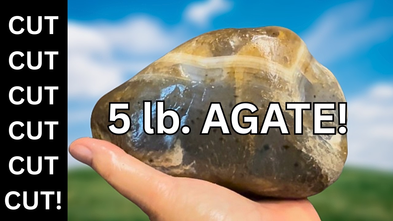 CUTTING a 5 lb AGATE, Plus a Dozen More!