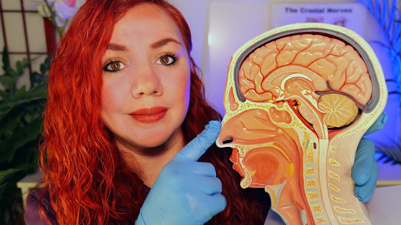 ASMR Español Examen NERVIOS CRANEALES ROLE PLAY