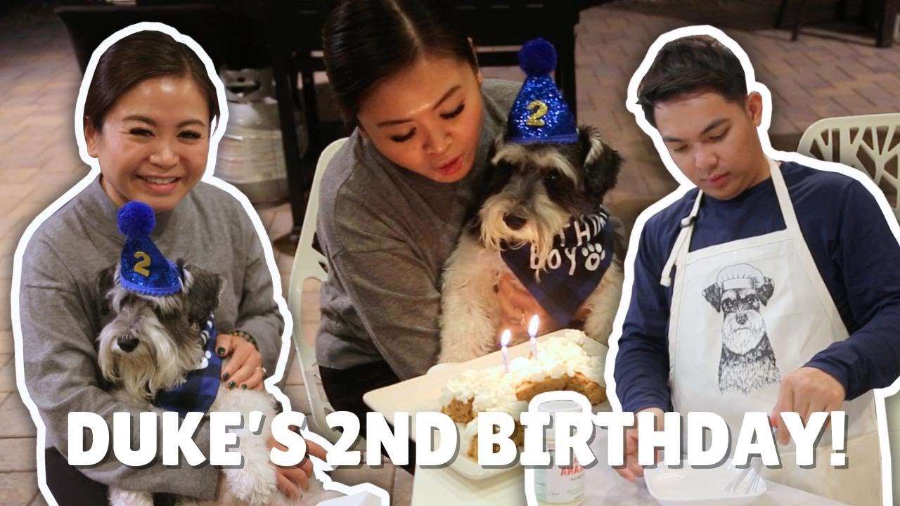 How We Celebrated Our Mini Schnauzer’s 2nd Birthday