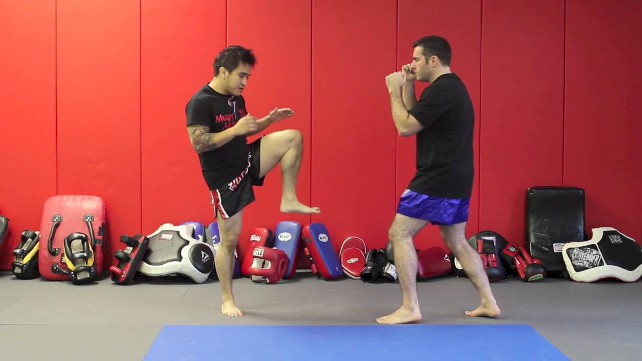Muay Thai Push Kick