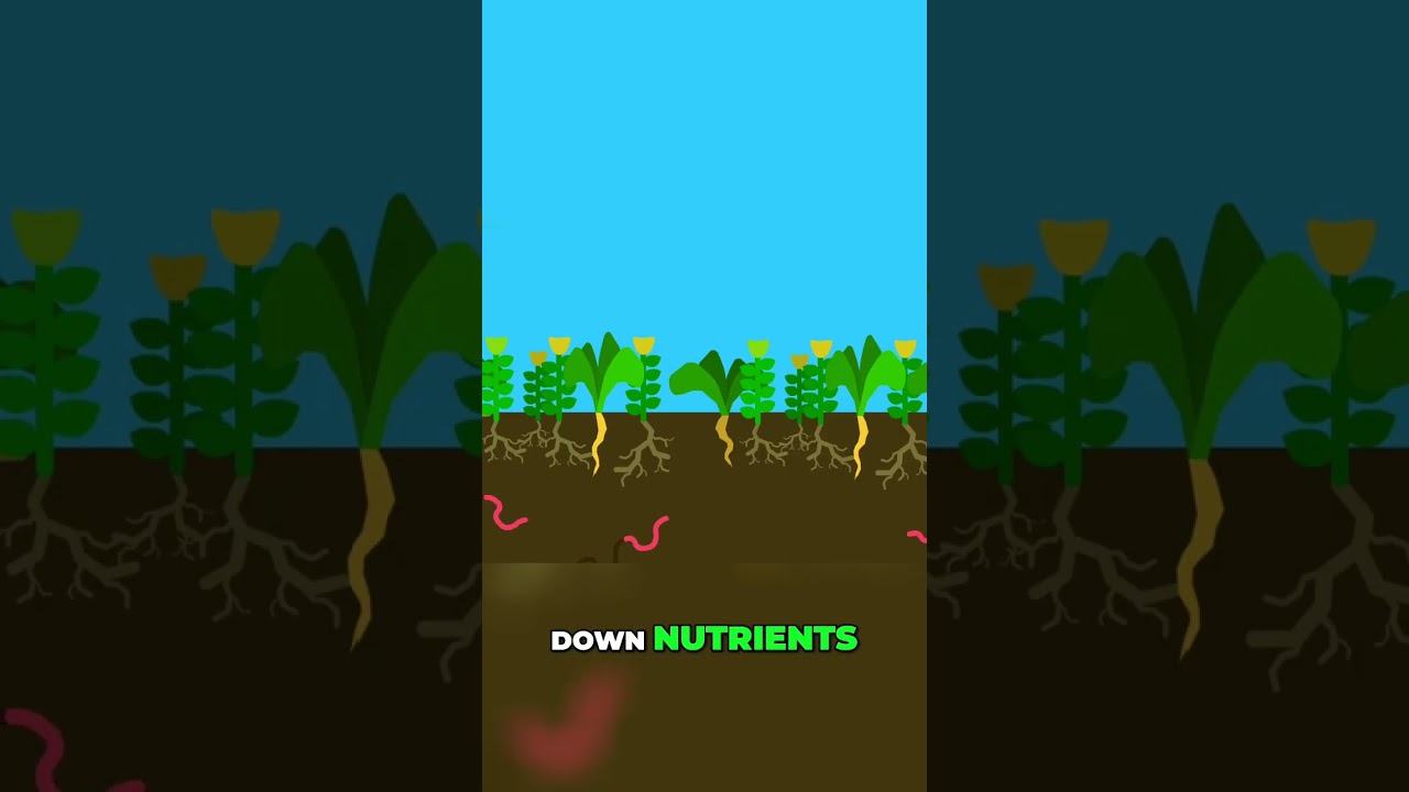 No-Till Farming Worms, Roots, Cover Crops #shorts