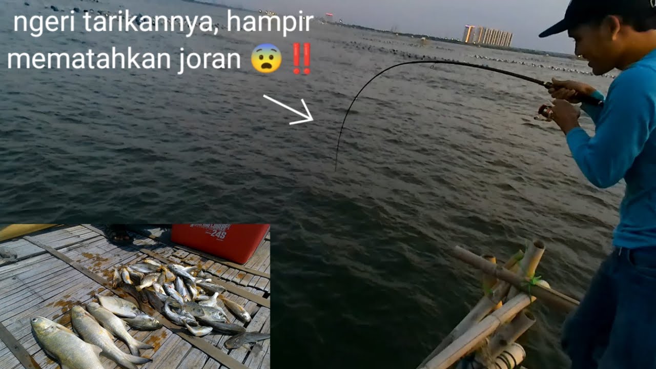 Dahsyatnya spot ini‼️pemula pun pasti panen strek jika mancing di sini // bagan tanjung pasir.