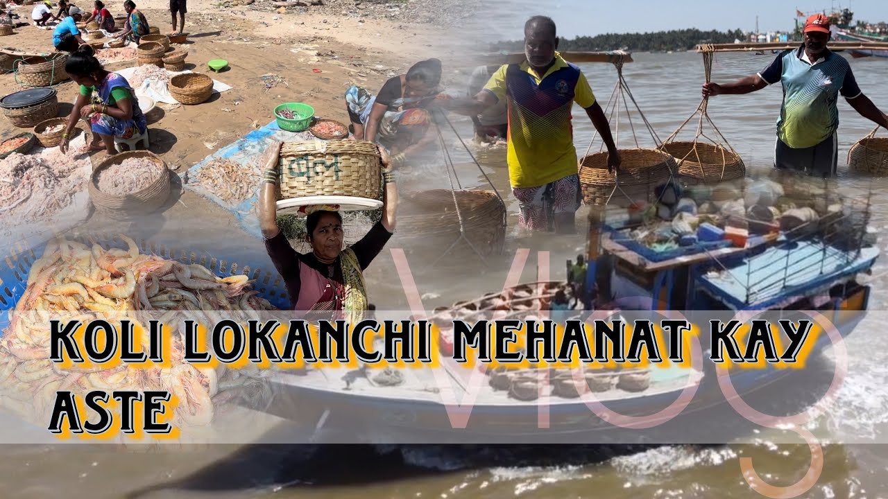 Koli lokanchi mehanat kasi aste || कोळी लोकांची मेहनत कशी असते || VLOG @tottopredyvlog