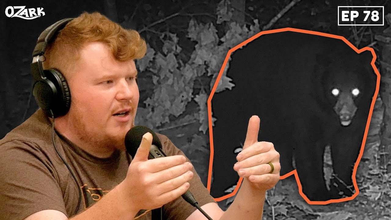 An Expert's Guide to Bear Hunting in the Ozarks with Kolby Morehead of Bear Hunting Magazine
