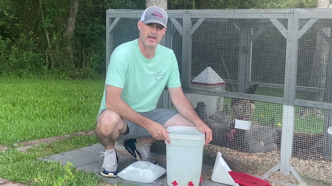 Keeping Chickens Cool in the Hot Summer Months| On The Ranch!