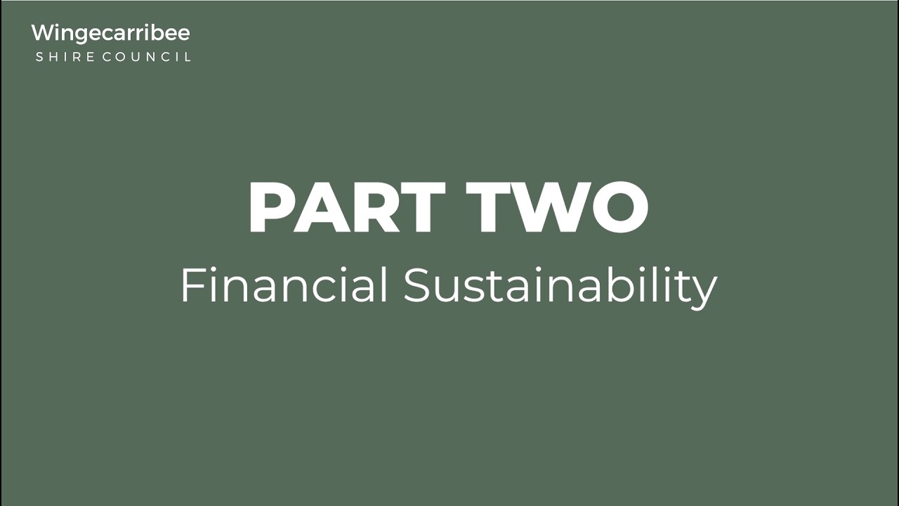 Financial Sustainability Explained   Part 2