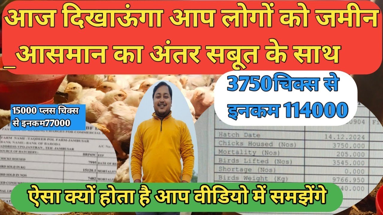 how to grow our income for broiler farming#poultry pharming mein Paisa kaise banaen.