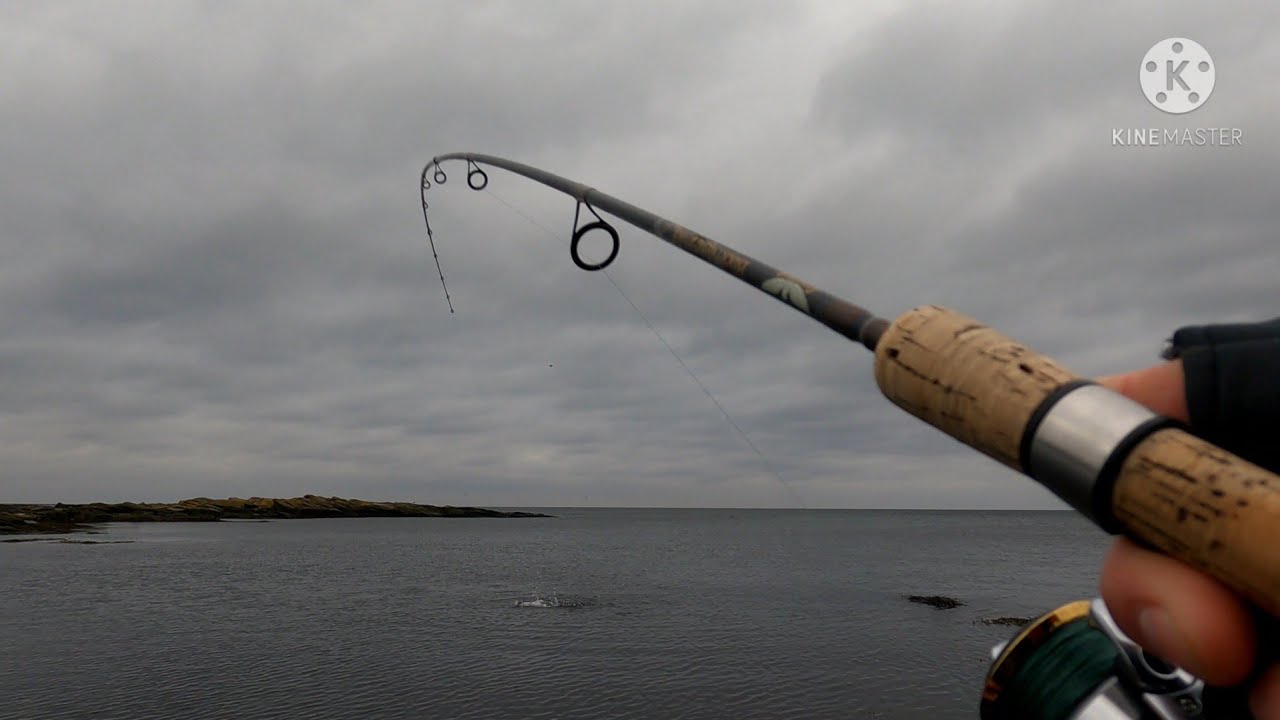 Havørred (stor) (seatraut,havsöring,meerforelle)fiskeri Bornholm . #Svenskerfluen og blink manden.