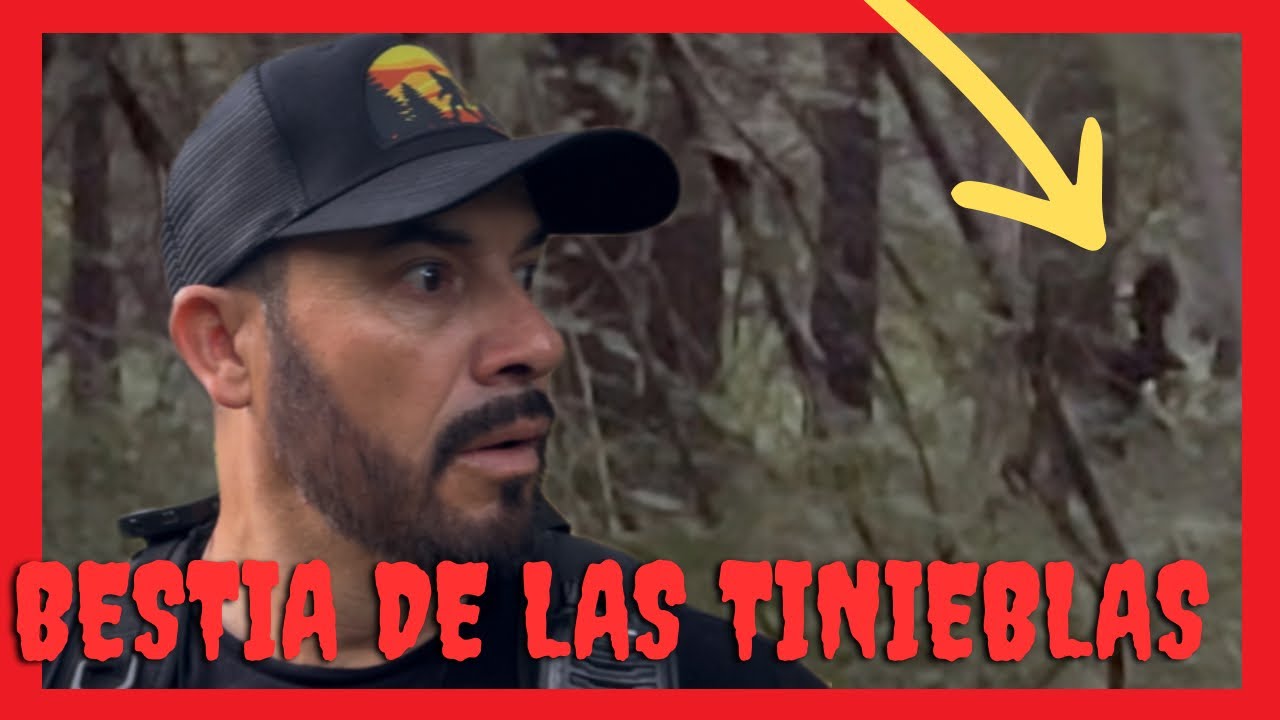 🌕DOGMAN LA BESTIA DE LAS TINIEBLAS