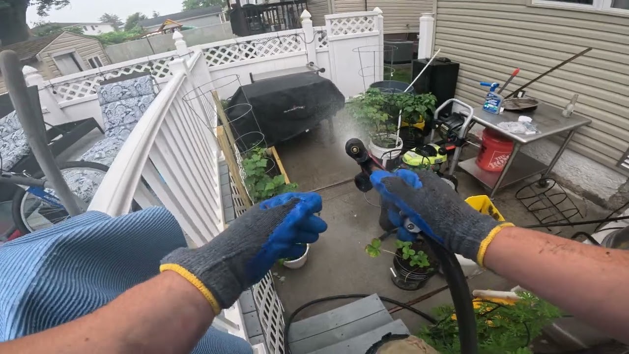 Gutter Shrub The Sequel (Guttercleaning)