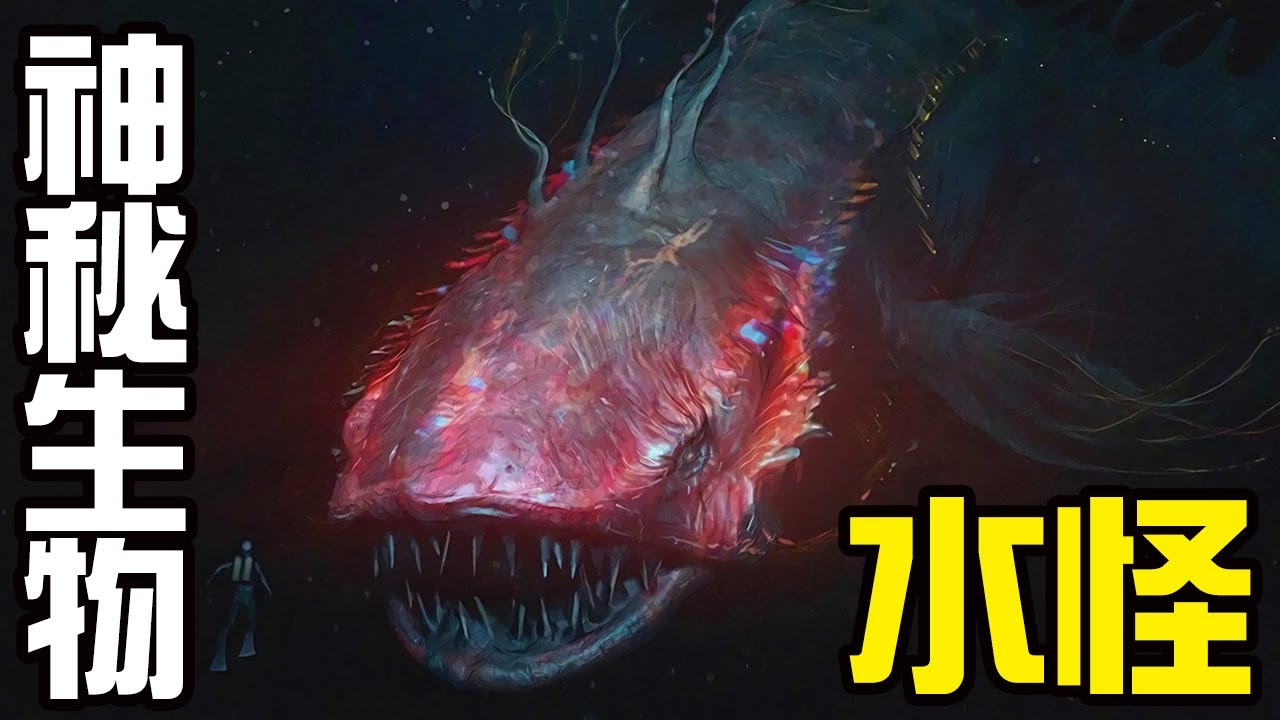 【UMA丨神秘生物·水怪講解】世界上人們目賭到的神秘水怪到底是個啥？這世界真的有遠古生物隱藏在某處嗎？丨神秘動物學UMA羊駝解說丨黑毛羊駝