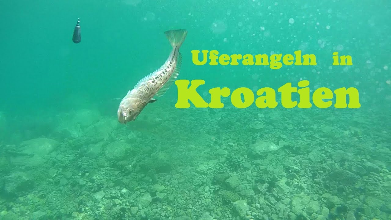 Uferangeln in Kroatien