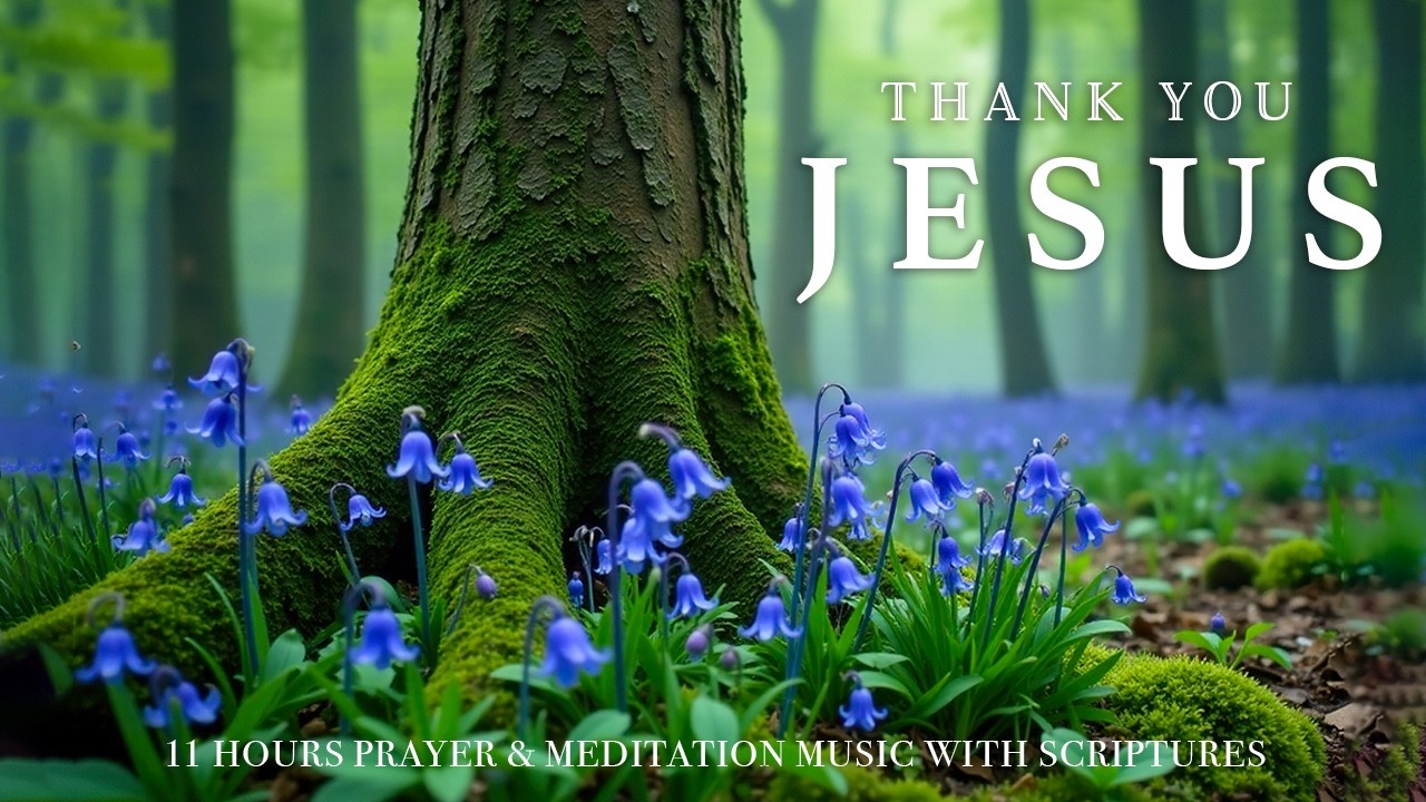 THANK YOU JESUS | Deep Prayer Instrumental Worship Music to Encounter God’s Presence