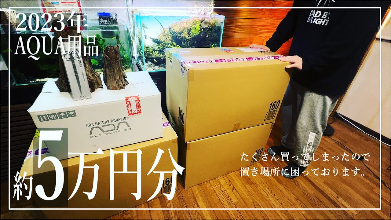 【ｱｸｱﾘｳﾑ】福袋の開封をしたかった動画【2年ぶり】