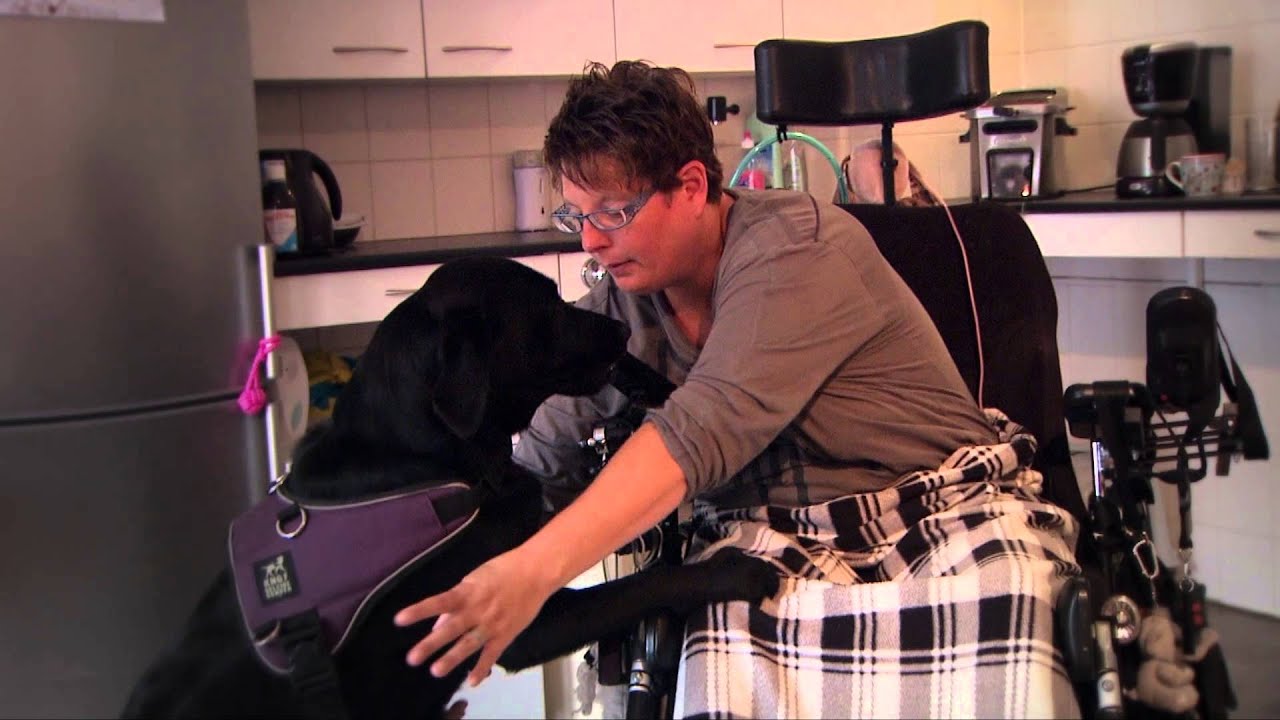 Het verhaal van Brenda en haar assistentiehond