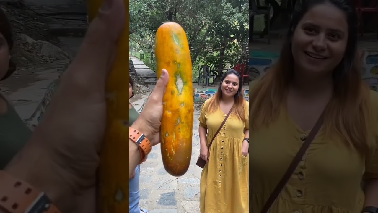 African Cucumber 🥒🤣 #shorts