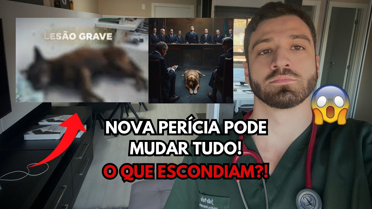 Ministério Público manda reabrir o caso Orelha com medida extrema | Querem exumação do corpo!
