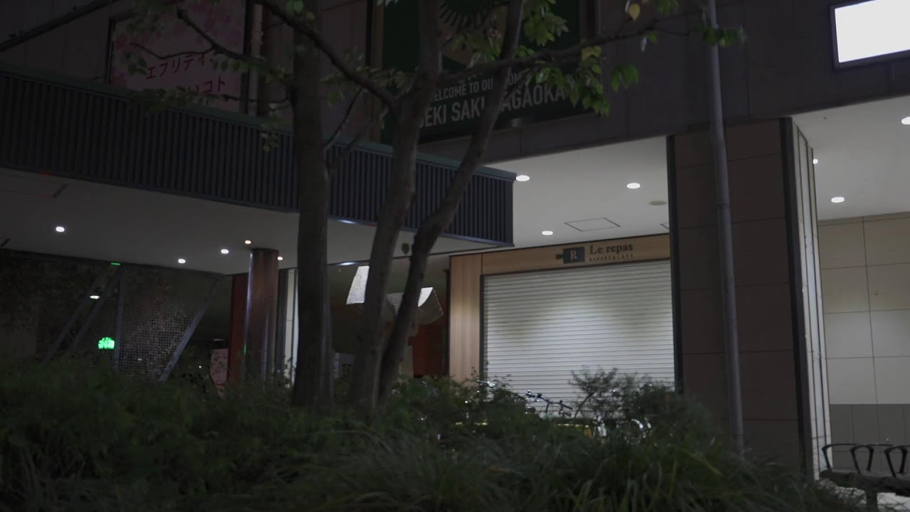 Random night Tokyo walk - Live