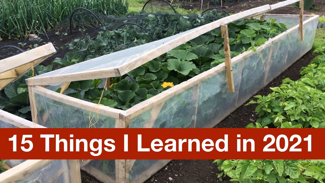 15 Things I Learned In 2021