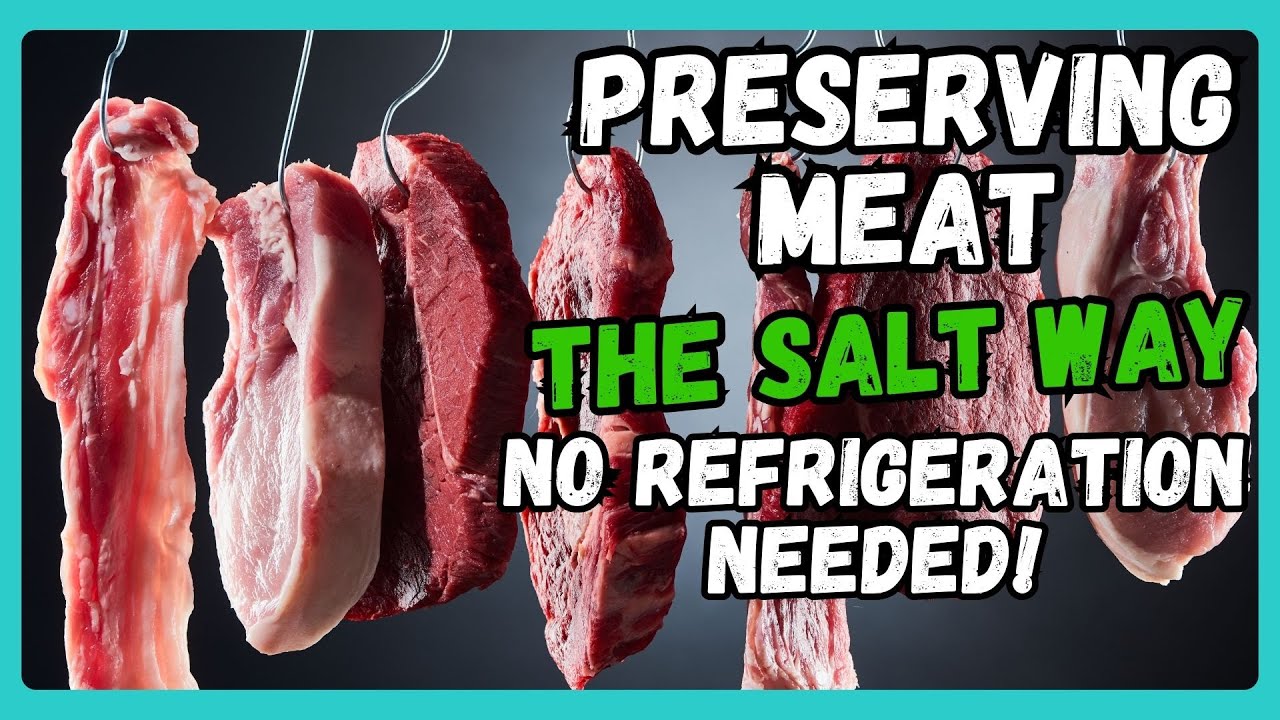 Preserving Meat the Salt Way  No Refrigeration Needed!
