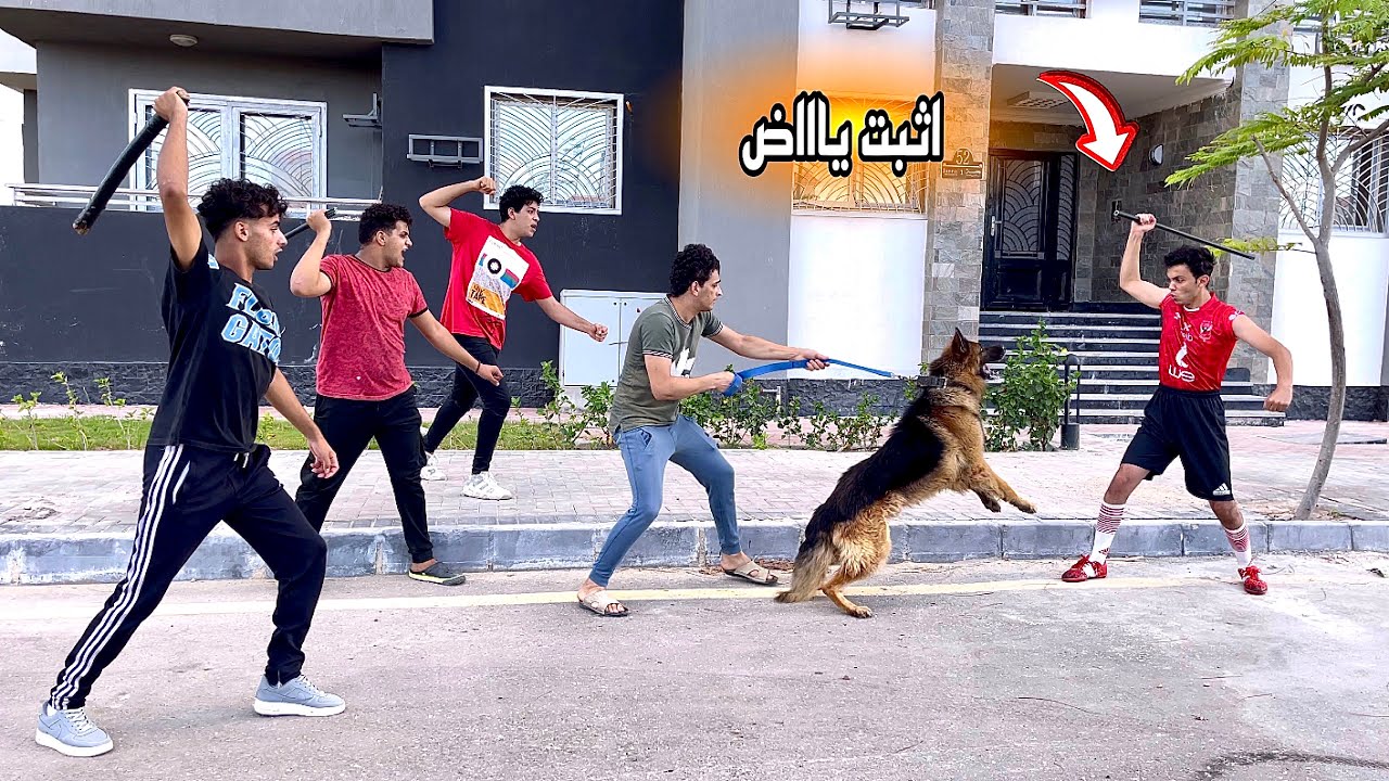 لما اخوك الصغير العيال تضربه في الشارع وتنزل تجيب حقه😂👊 السلسيلي