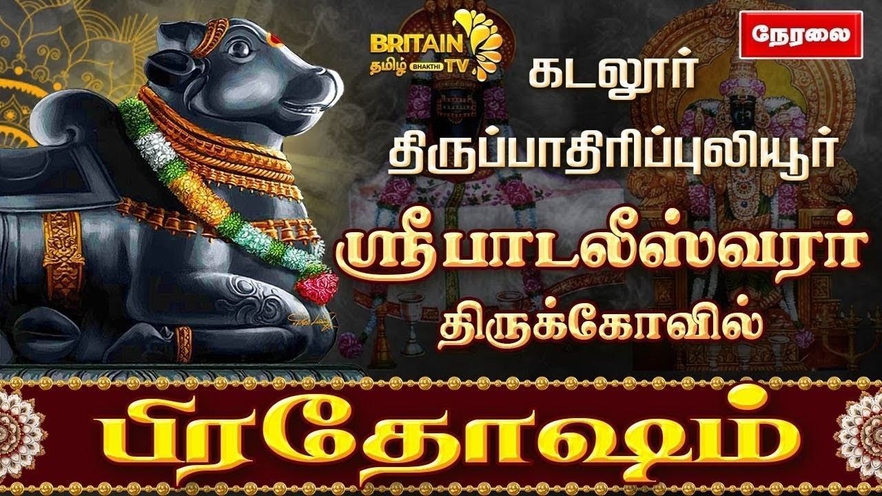 🔴LIVE - கடலூர் - பாடலீஸ்வரர் திருக்கோவில் பிரதோஷ வழிபாடு | Pradhosam Padaleeswarar Temple