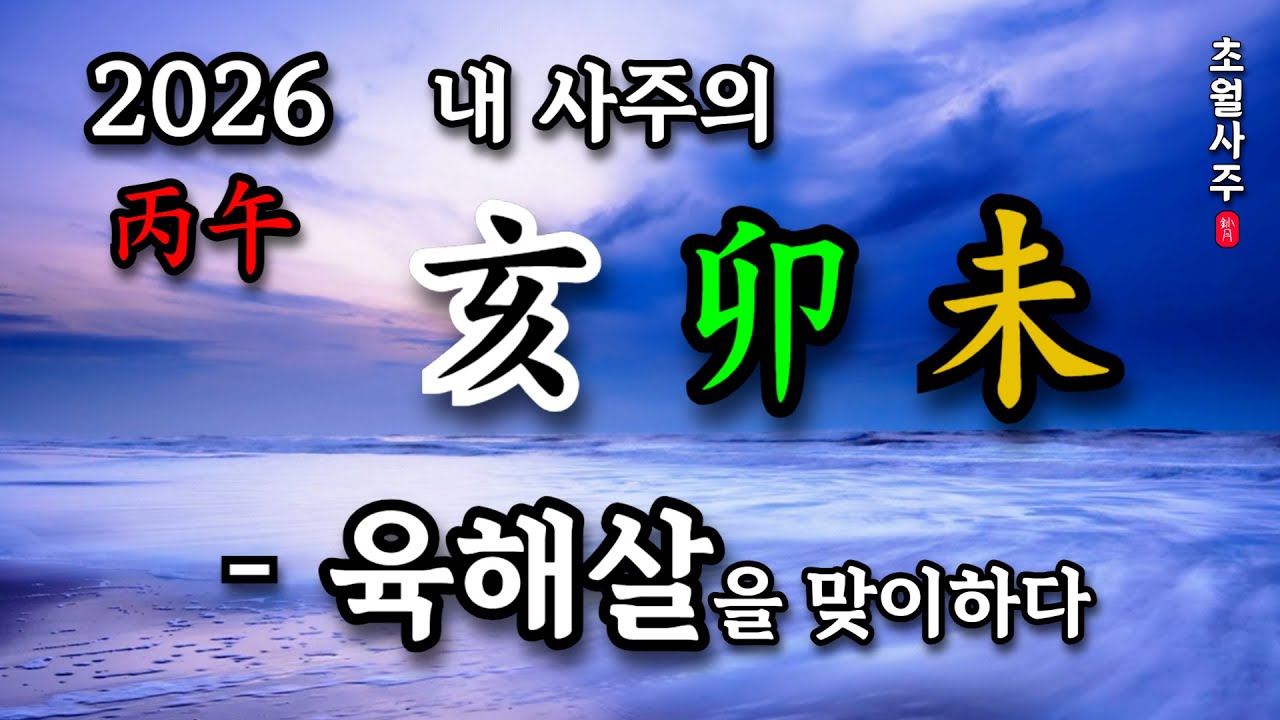 [2026년 운세] 병오년(丙午年) 육해살을 맞이하다! 내 사주의 해(亥), 묘(卯), 미(未)