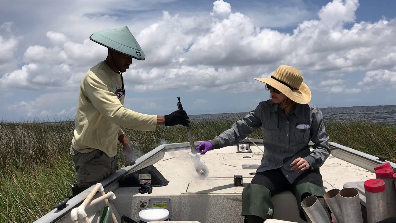 LSU CC&E researchers flash freeze soil samples in liquid nitrogen!