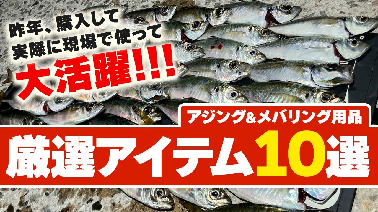 【アジング】昨年買って大正解のライトゲーム用品10選【メバリング】