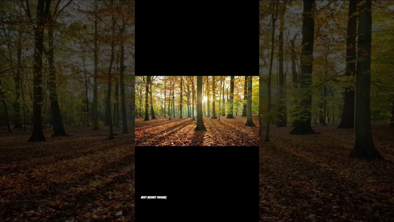 mem Ararat li heviya barane #t&uuml;rk&ccedil;e #k&uuml;rt&ccedil;e  #enerji #energy #enerci