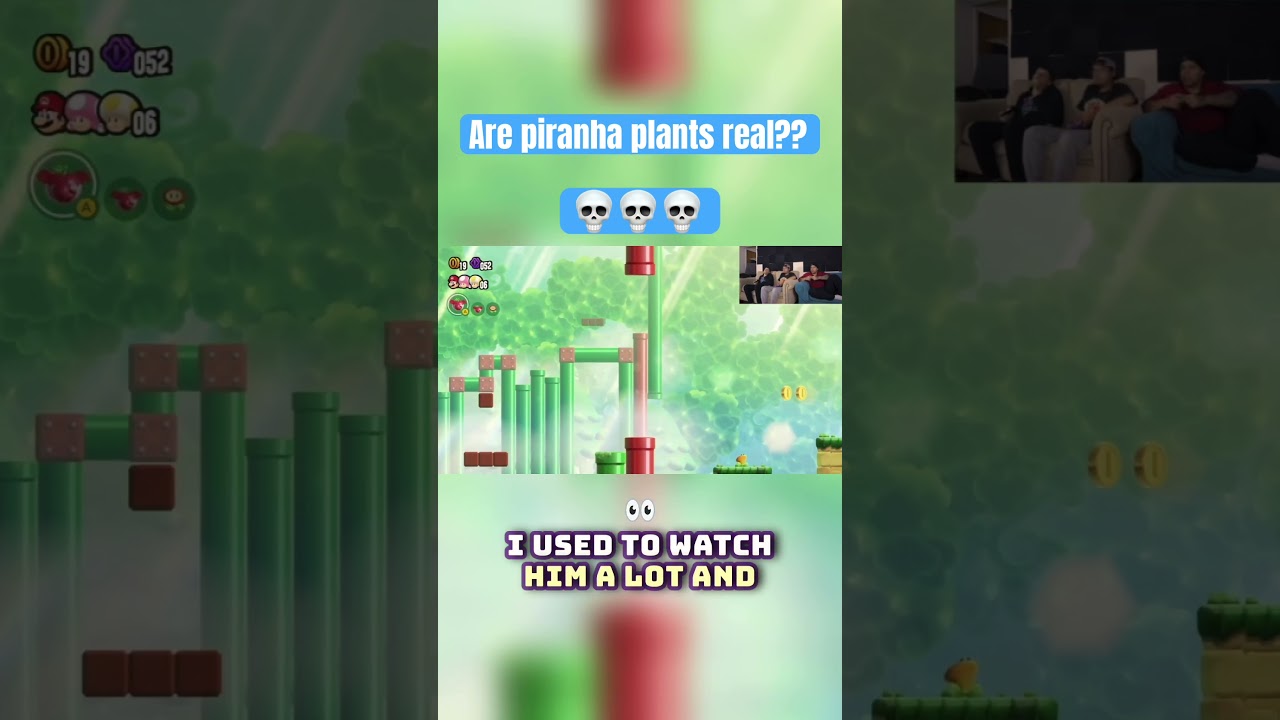 Legit question,have you seen one??  #mario #rollingjays