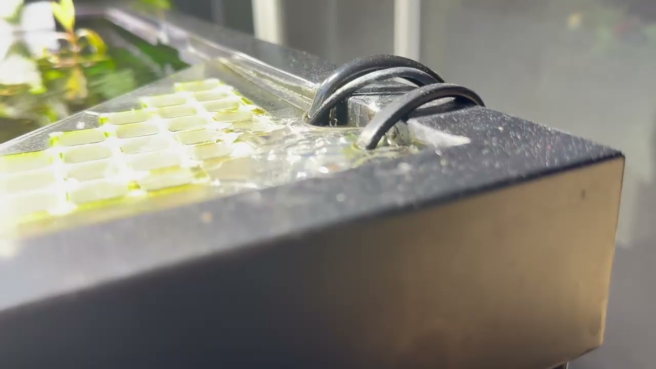 Another great idea on how to hide aquarium bubbles from uplift tubes.