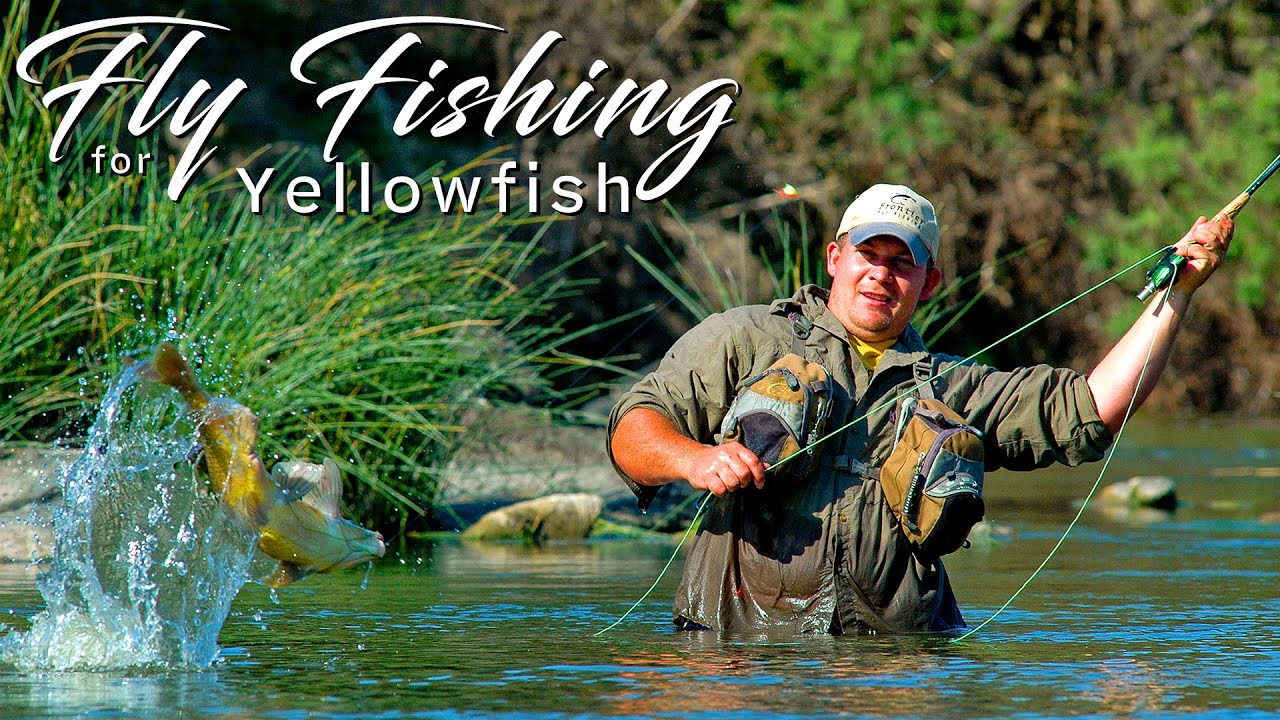 Fly fishing for Yellowfish in South Africa - All you need to know and how to {The Full DVD film}