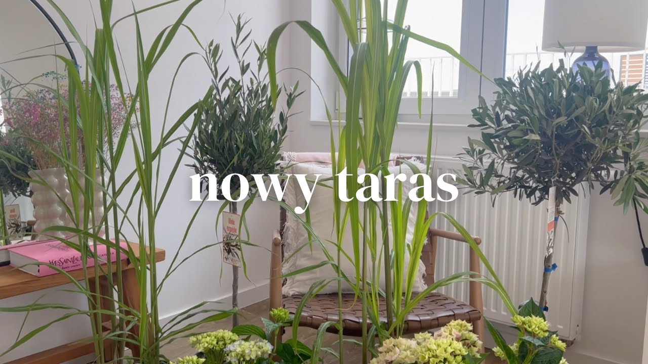 MISJA TARAS - VLOG