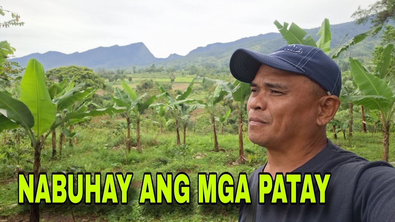 NABUHAY ANG MGA patay