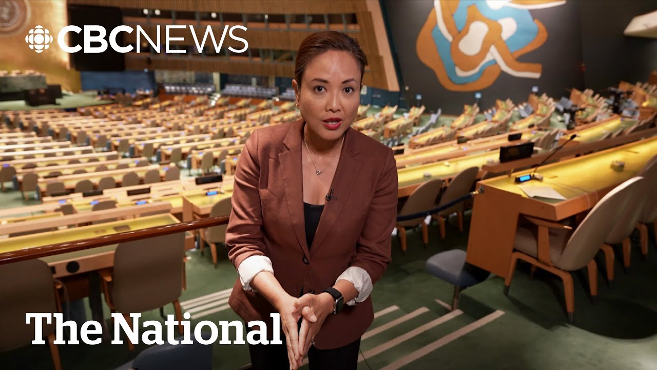 Is the United Nations still serving its purpose?
