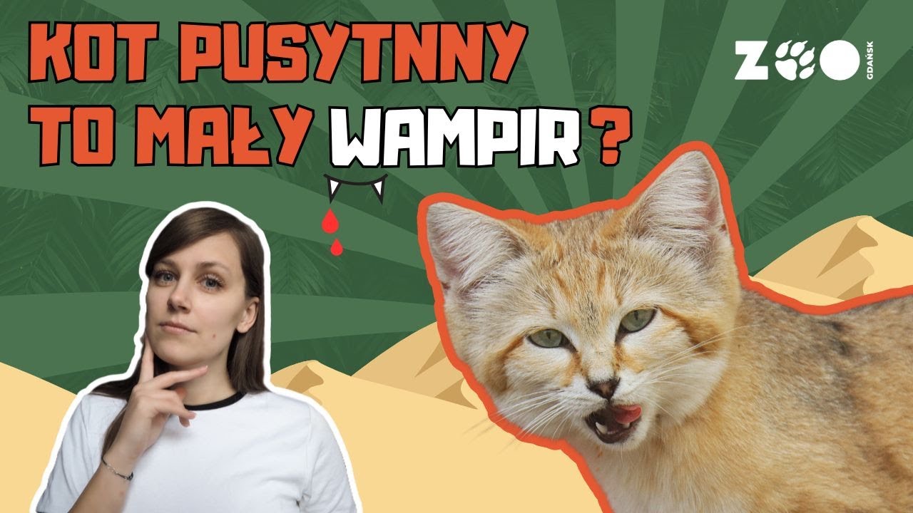 Lekcja ZOOnline odc.31 Czy kot pustynny to mały wampir? /ZOO Gdańsk