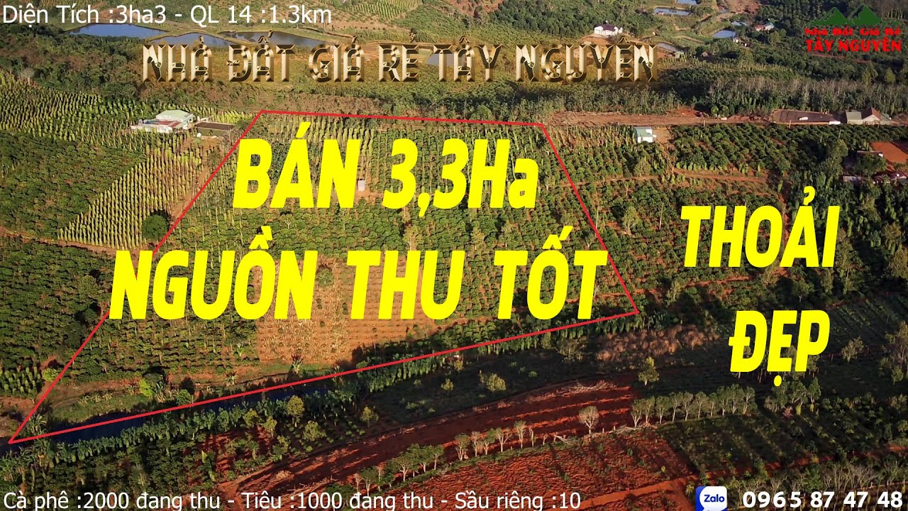 ĐẮK NÔNG BÁN : ĐẤT THOẢI ĐẸP, NGUỒN THU TỐT Giá 2ty400
