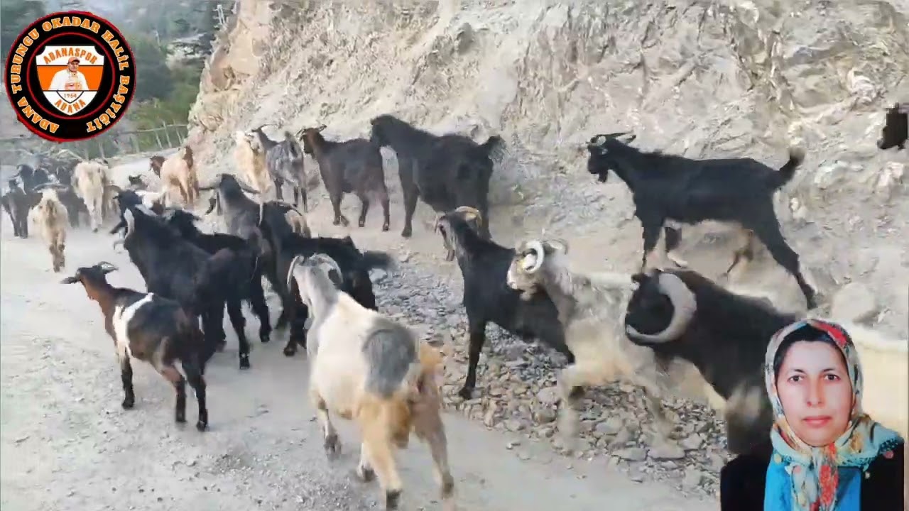 ORMANÇIK MAHALLESİ ANAM SANKİ EVDE GİBİ