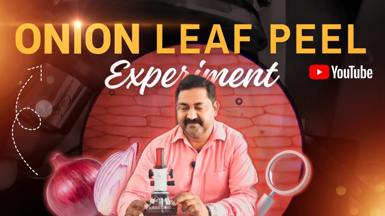 ONION LEAF PEEL EXPERIMENT